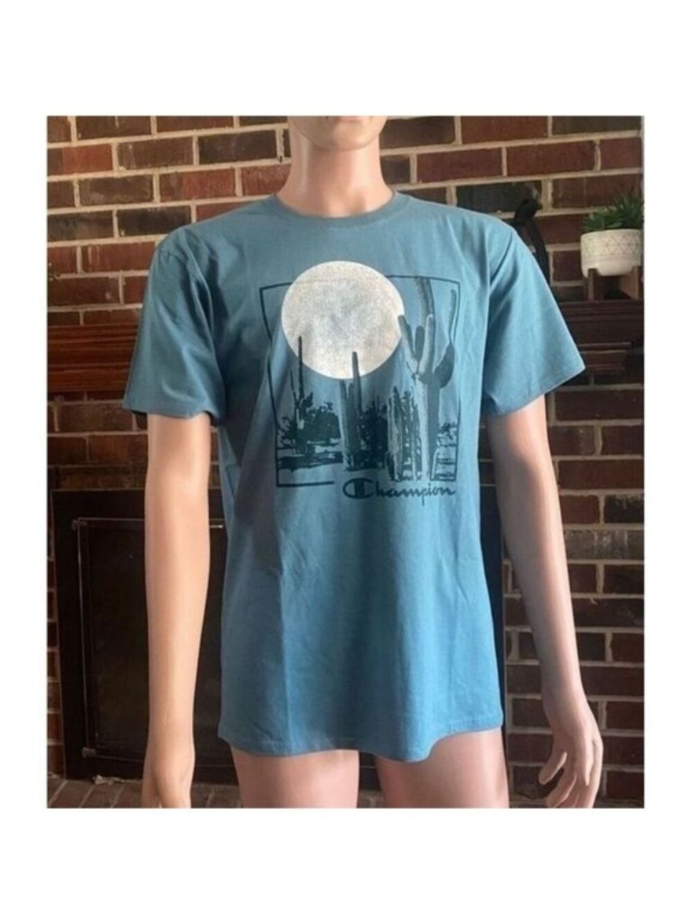 Champion Desert Cactus Teal‎ T-Shirt Men's Size Medium Aqua Tonic  New